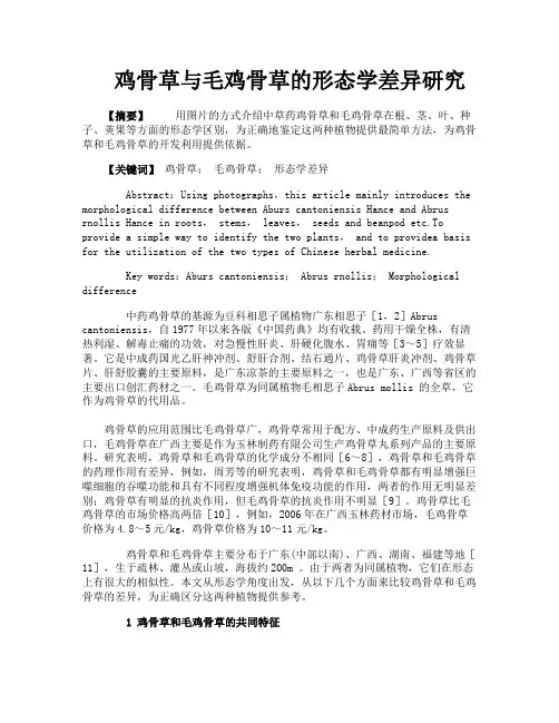 鸡骨草与毛鸡骨草的形态学差异研究