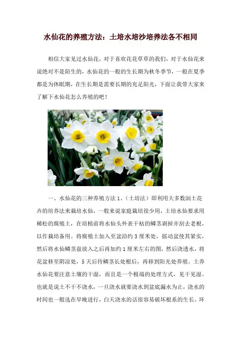 水仙花的养殖方法：土培水培沙培养法各不相同