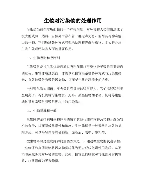 生物对污染物的处理作用