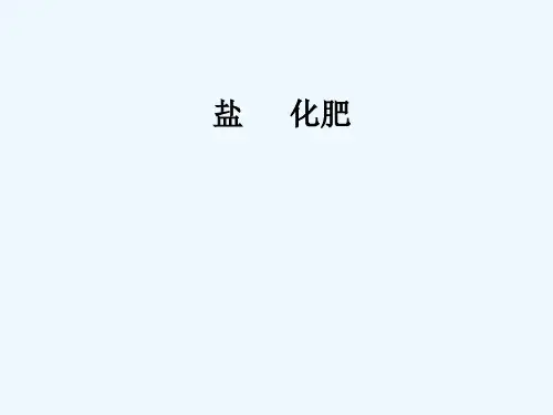人教版粗盐中难溶性杂质的去除 PPT