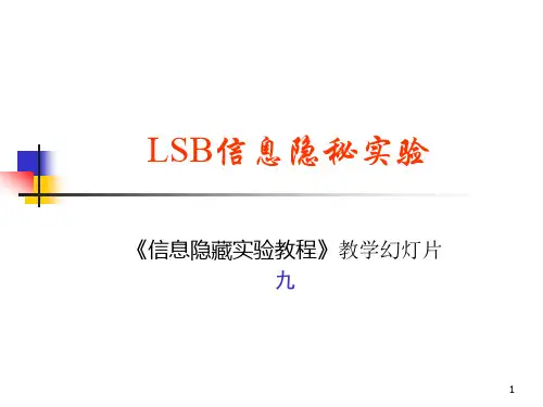 01_Lsb信息隐秘实验