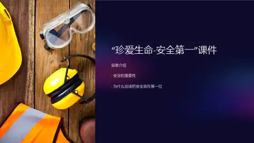 “珍爱生命-安全第一”课件