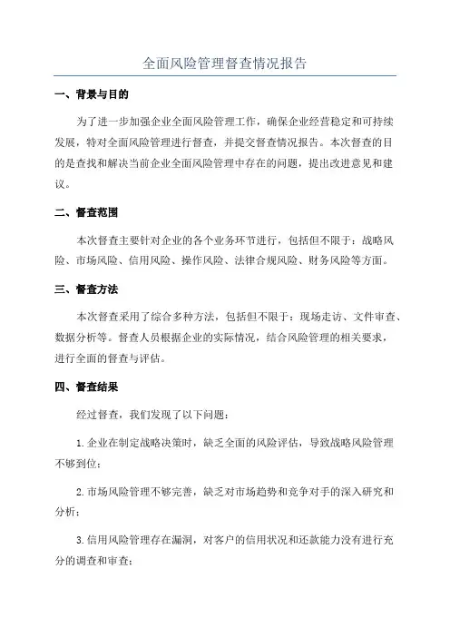 全面风险管理督查情况报告
