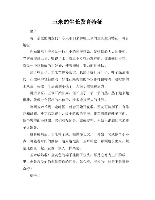 玉米的生长发育特征