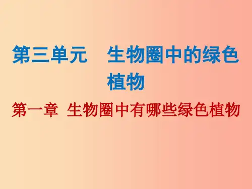 2019年中考生物总复习第三单元第一章生物圈中有哪些绿色植物课件PPT