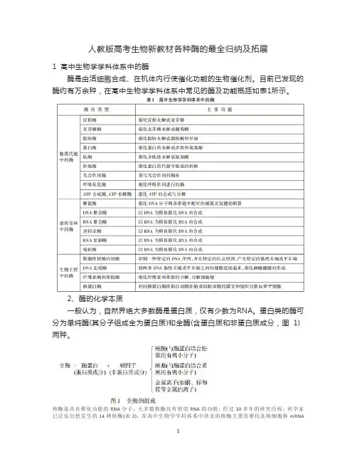 人教版高考生物新教材各种酶的最全归纳及拓展