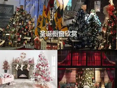 圣诞橱窗优秀作品欣赏及分析