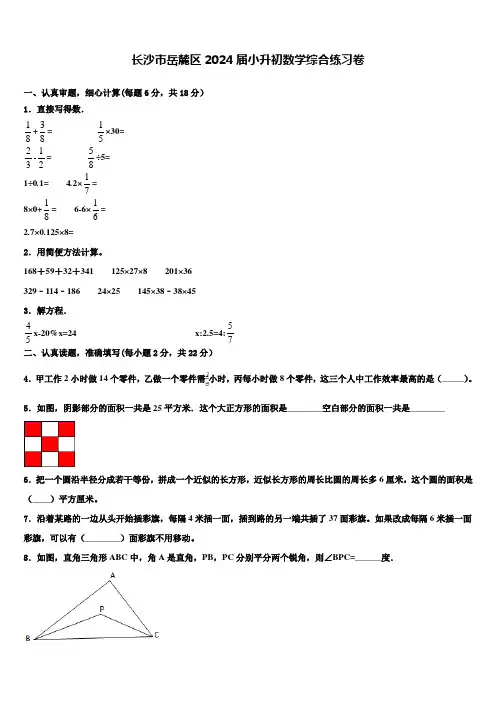 长沙市岳麓区2024届小升初数学综合练习卷含解析