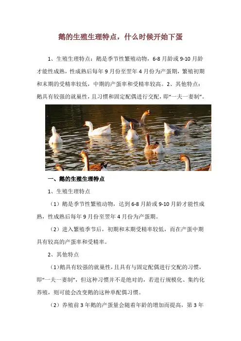 鹅的生殖生理特点,什么时候开始下蛋