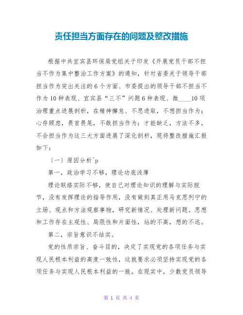 责任担当方面存在的问题及整改措施