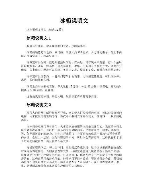 冰箱说明文