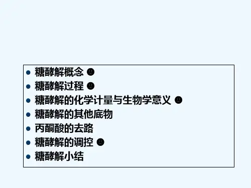 糖酵解 PPT