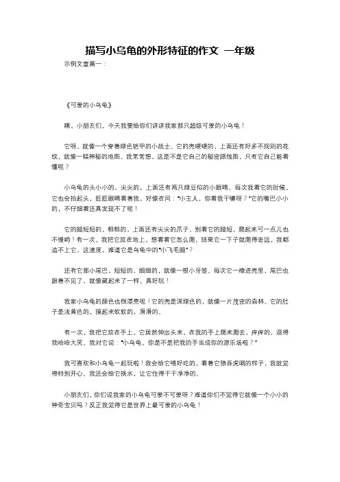 描写小乌龟的外形特征的作文 一年级