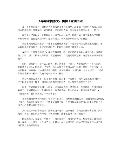 五年级看图作文：摘桃子看图写话