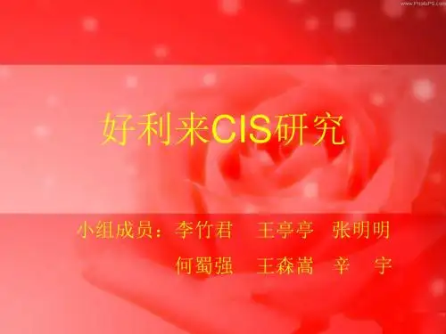 好利完成版-PPT文档资料