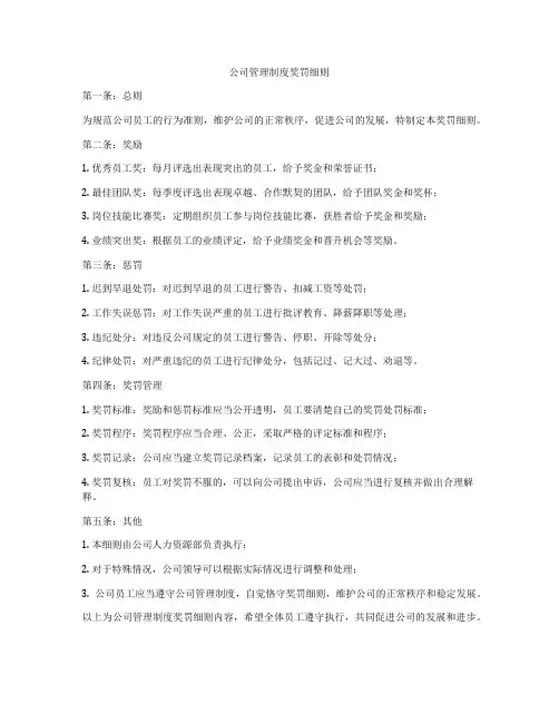 公司管理制度奖罚细则