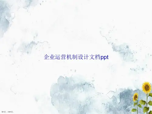 企业运营机制设计讲课文档