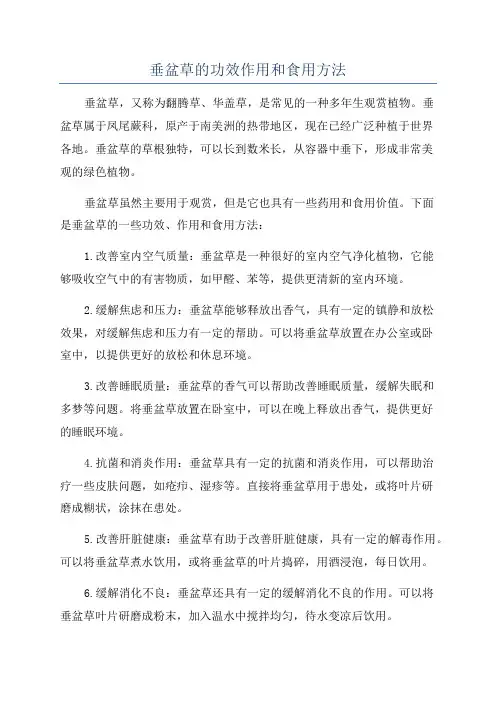 垂盆草的功效作用和食用方法