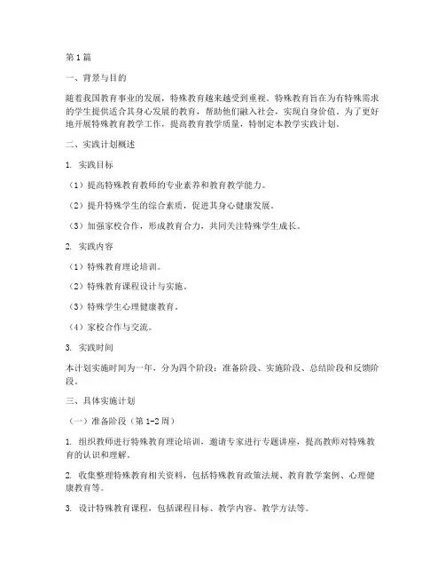 特殊教育教学实践计划(3篇)