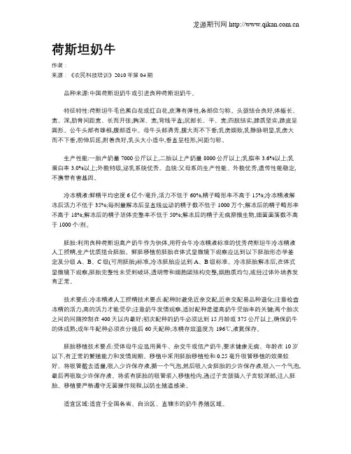 荷斯坦奶牛