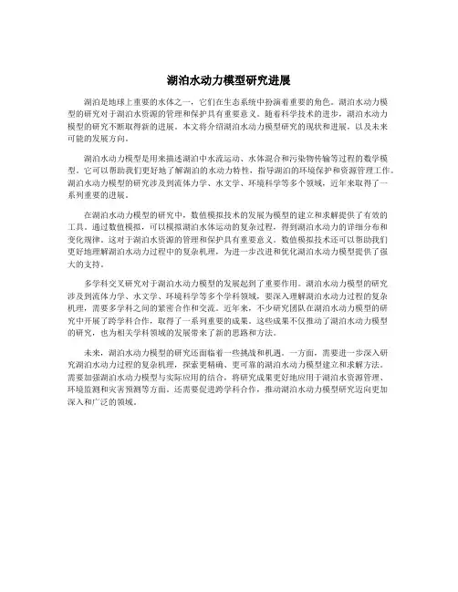 湖泊水动力模型研究进展