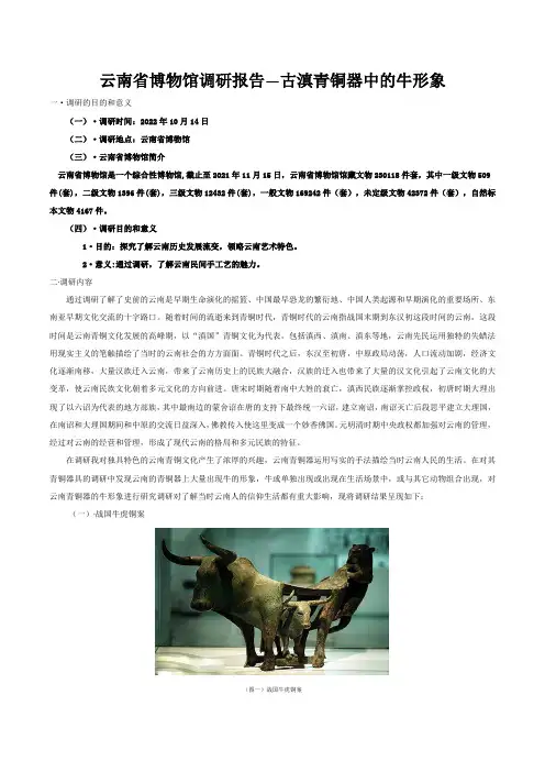 云南省博物馆调研报告