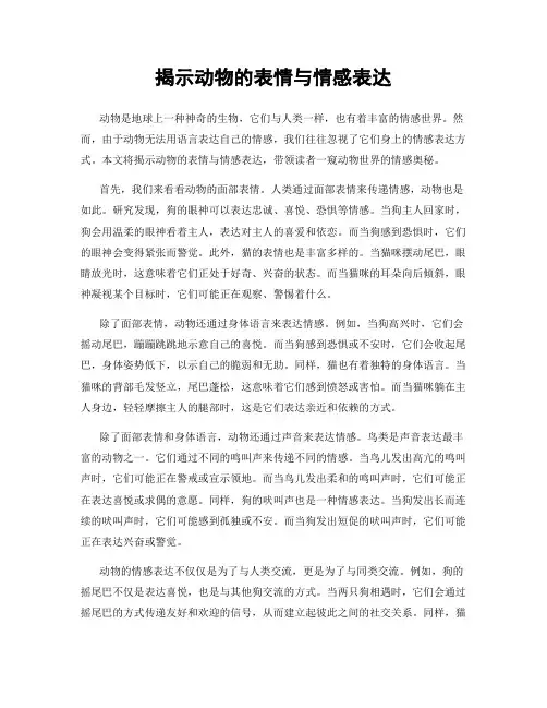 揭示动物的表情与情感表达