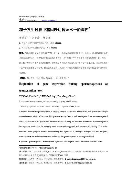 精子发生过程中基因表达转录水平的调控