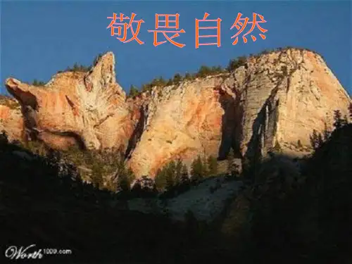 113敬畏自然PPT课件