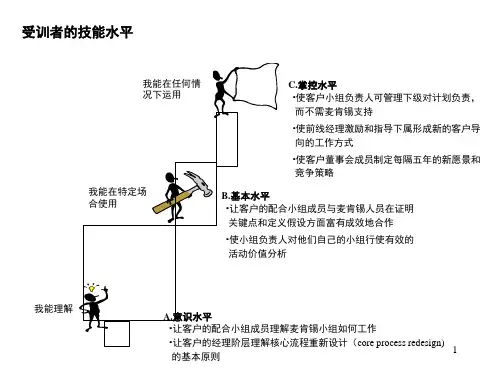 麦肯锡咨询顾问必备宝典技能表课堂PPT(1).ppt