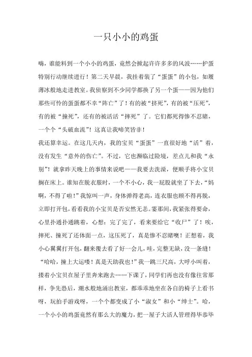 五年级叙事一只小小的鸡蛋
