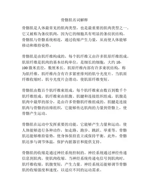 骨骼肌名词解释