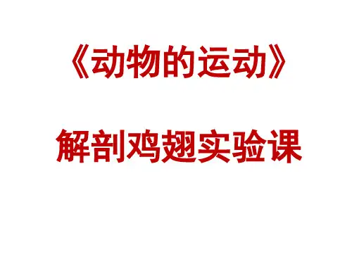 第一节 动物的运动