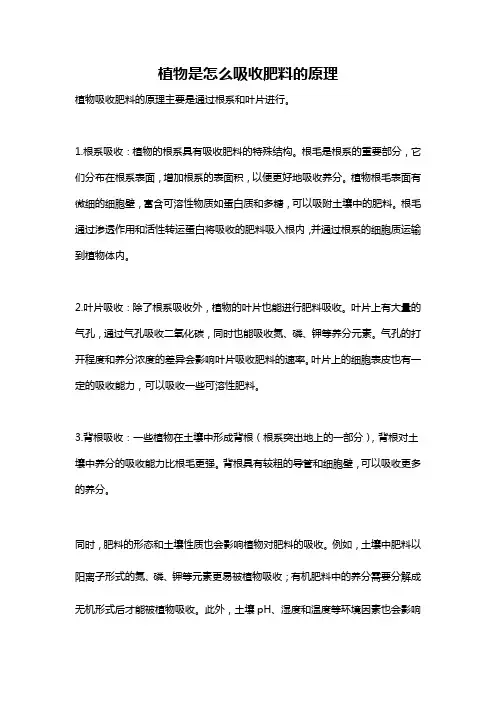 植物是怎么吸收肥料的原理