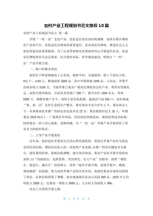 农村产业项目规划书范文推荐10篇