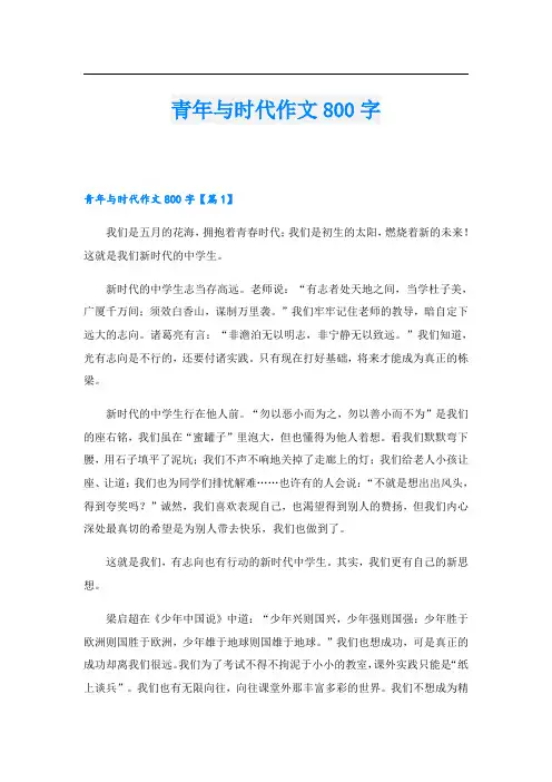 青年与时代作文800字