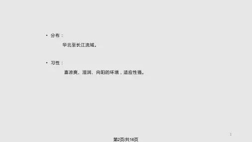 园林树木学各论