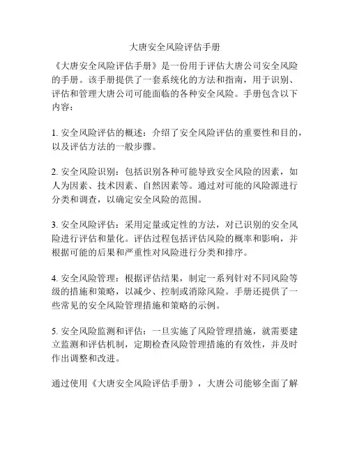 大唐安全风险评估手册