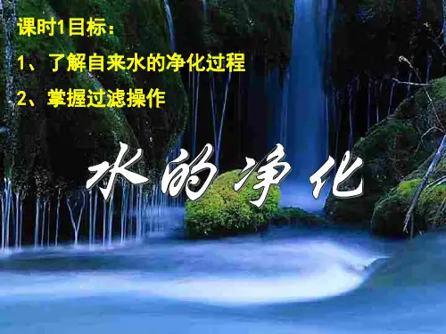 自来水的净化过程(PPT-29)
