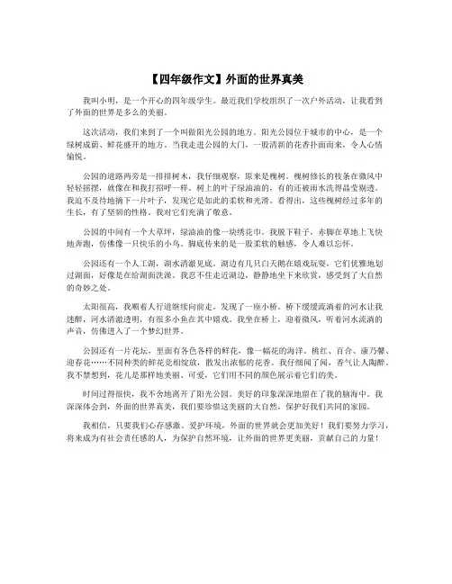 【四年级作文】外面的世界真美