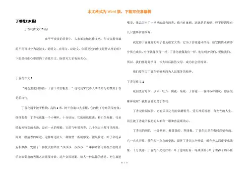 丁香花(10篇)