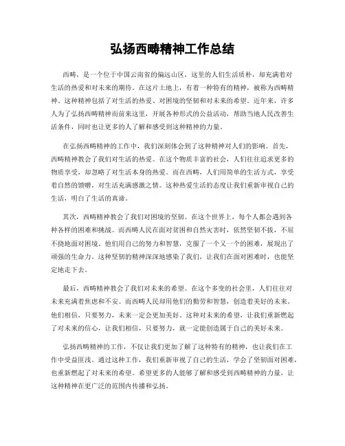 弘扬西畴精神工作总结