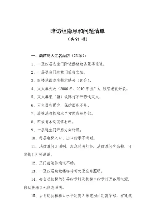 暗访组隐患和问题清单