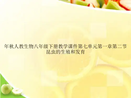 年秋人教生物八年级下册教学课件第七单元第一章第二节昆虫的生殖和发育ppt文档