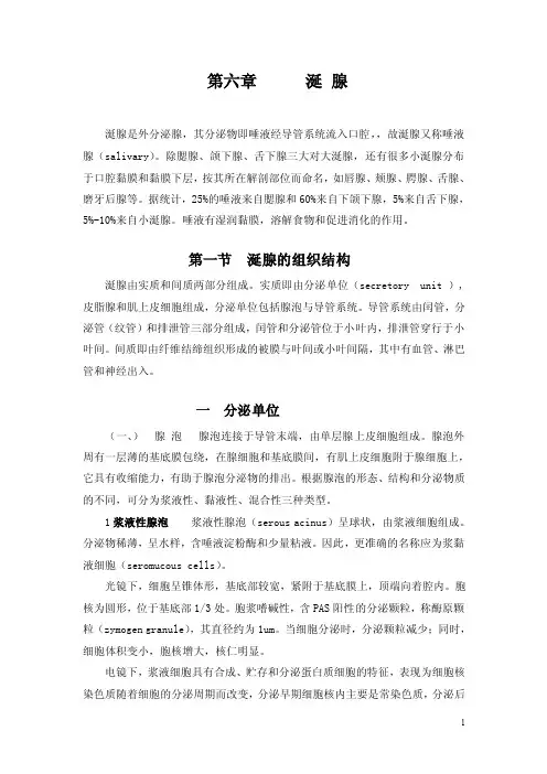 涎腺——精选推荐