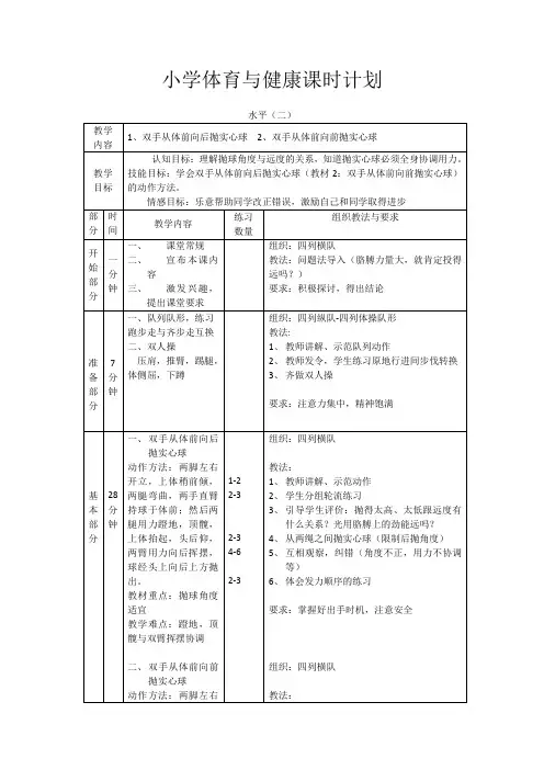 小学体育《投掷》水平二 第二课时教案