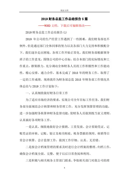 2019财务总监工作总结报告5篇