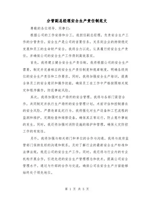 分管副总经理安全生产责任制范文(3篇)