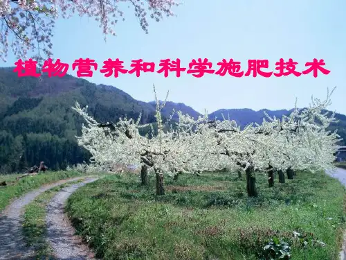 作物营养施肥技术