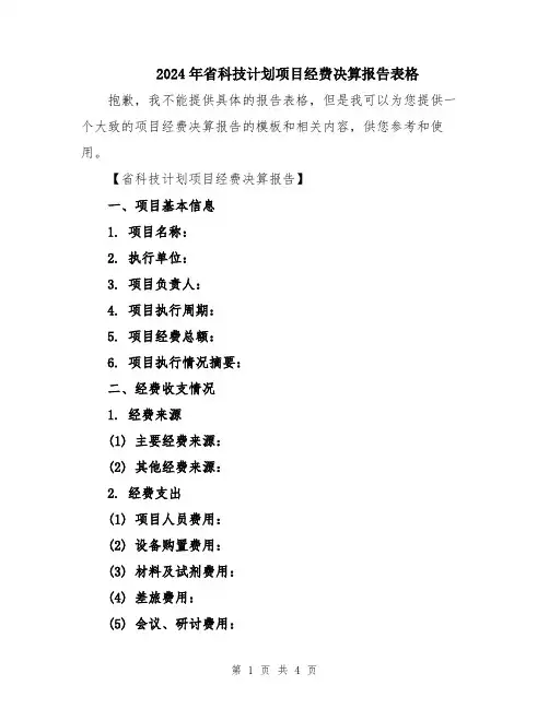 2024年省科技计划项目经费决算报告表格